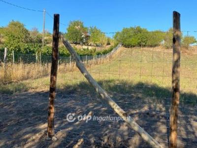 Eladó általános mezőgazdasági ingatlan - 8100 Várpalota