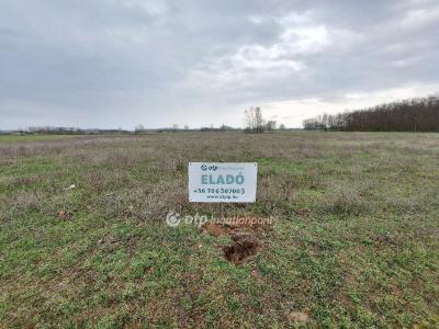 Eladó nyaraló - 6060 Tiszakécske