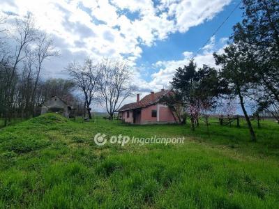 Eladó tanya - 2730 Albertirsa