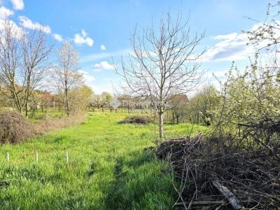 Eladó családi ház - 7693 Pécs