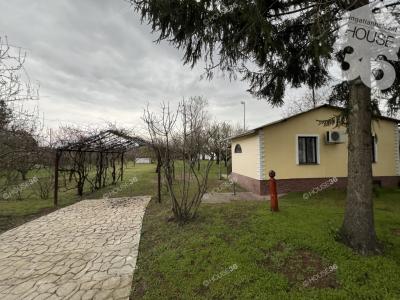 Eladó tanya - 6000 Kecskemét, Úrihegy tanya
