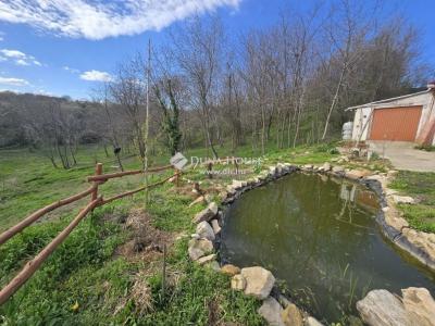 Eladó tanya - 7694 Hosszúhetény, Kecskés gödör dűlő