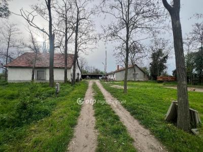 Eladó tanya - 2700 Cegléd