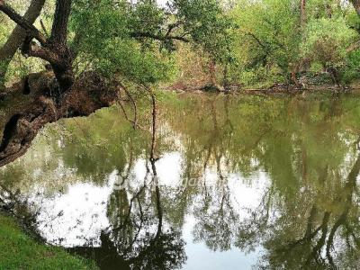 Eladó üdülőövezeti telek - 9025 Győr, Szúnyog sziget