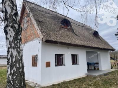 Eladó tanya - 6050 Lajosmizse