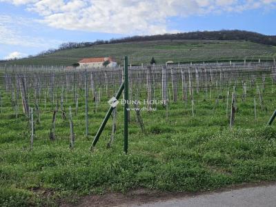 Eladó lakóövezeti telek - 7634 Pécs