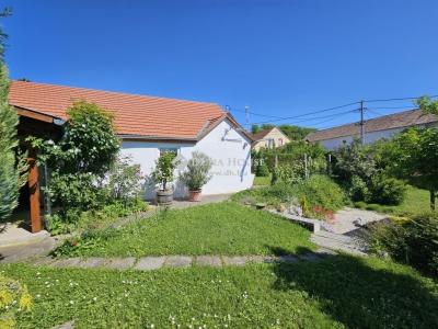 Eladó családi ház - 7773 Villány
