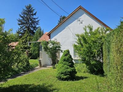 Eladó családi ház - 7773 Villány