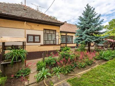 Eladó családi ház - 2244 Úri