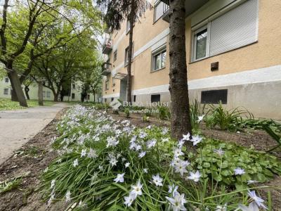 Eladó lakás - 5000 Szolnok, Kolozsvári utca